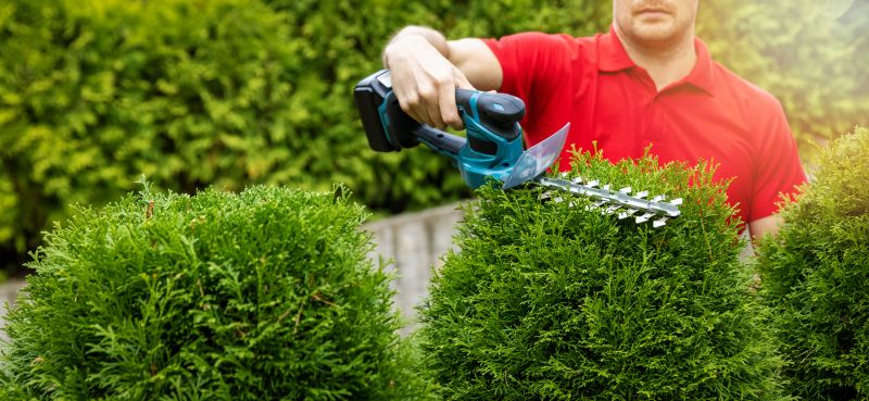 Bush Shaping