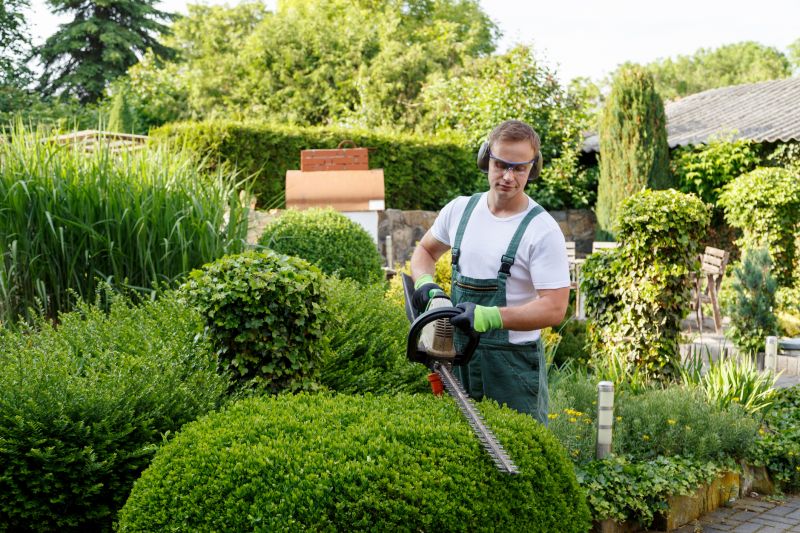 Professional Bush Shaping