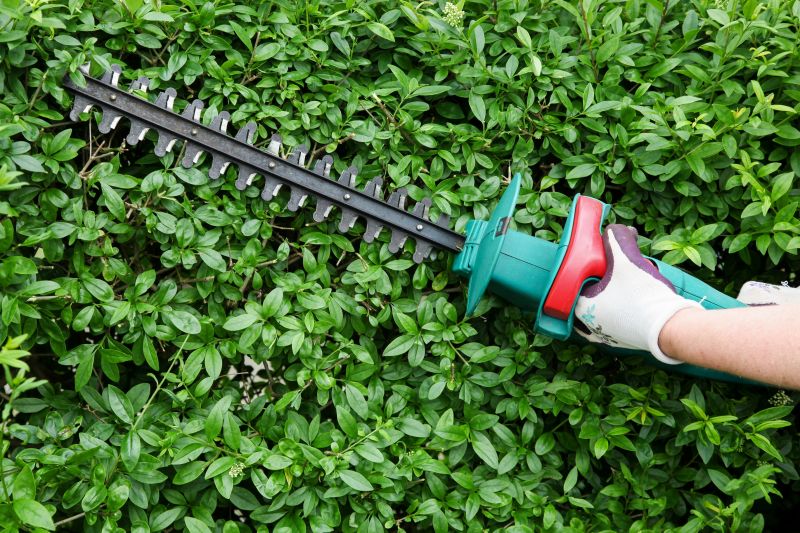Evergreen Hedge Trimming in Rockwall, TX