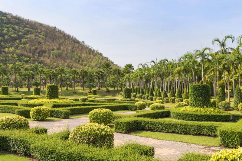 Trimmed Shrubs Line Driveway