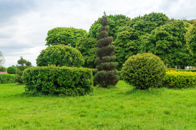 Bushes with Symmetrical Pruning