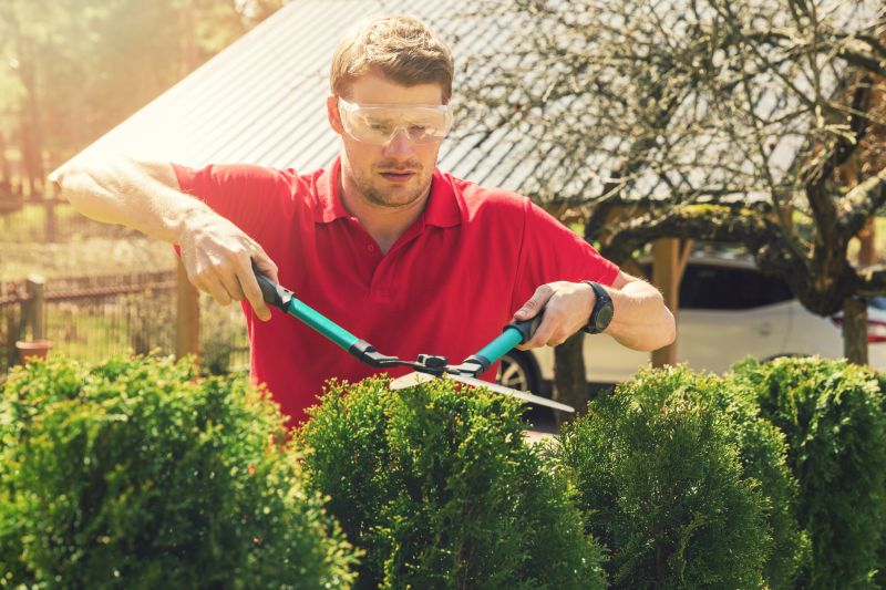 Overview of Bush Shaping Techniques