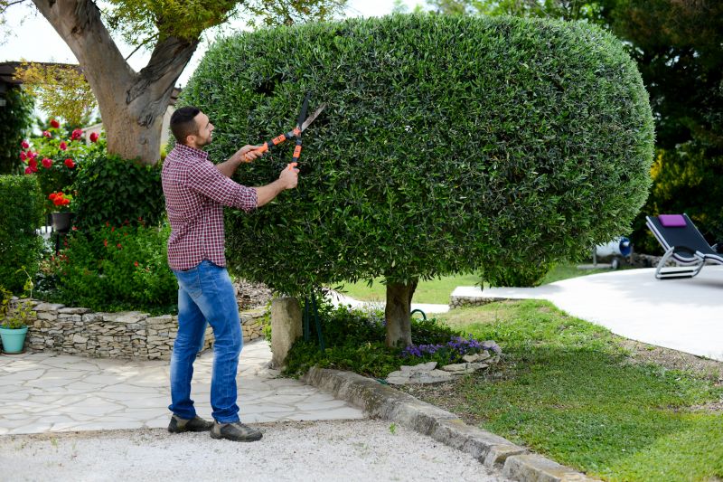 Bush Shaping Services for Landscapes